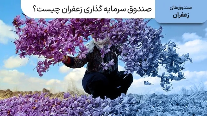 صندوق سرمایه گذاری زعفران چیست؟