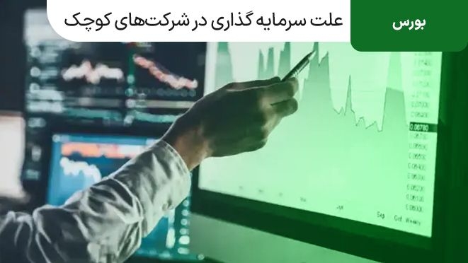 چرا سرمایه گذاری در شرکتهای کوچک مناسب است؟