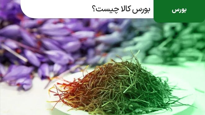 بورس کالا چیست؟